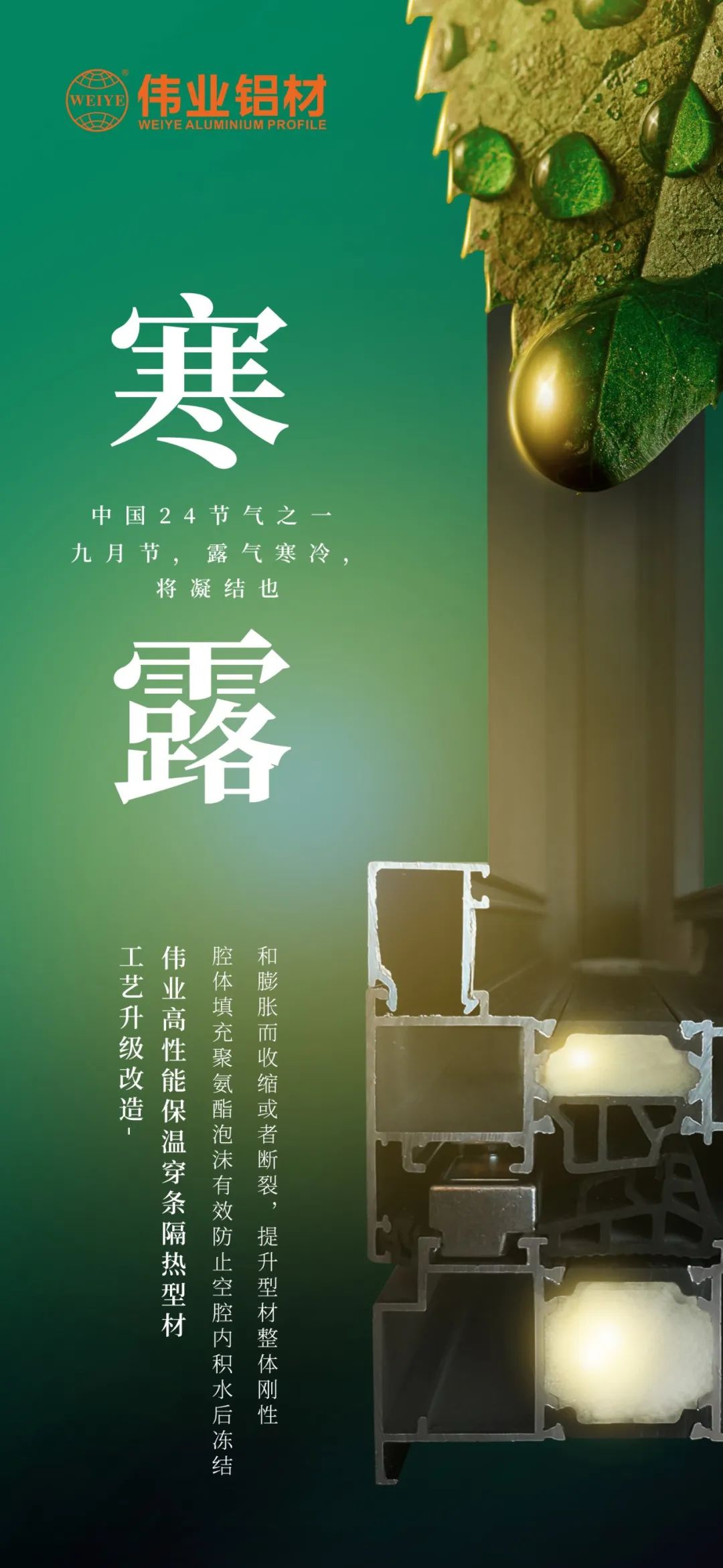 #寒露 九月节，露气寒冷，将凝结也 时光入深秋，岁月便深情
