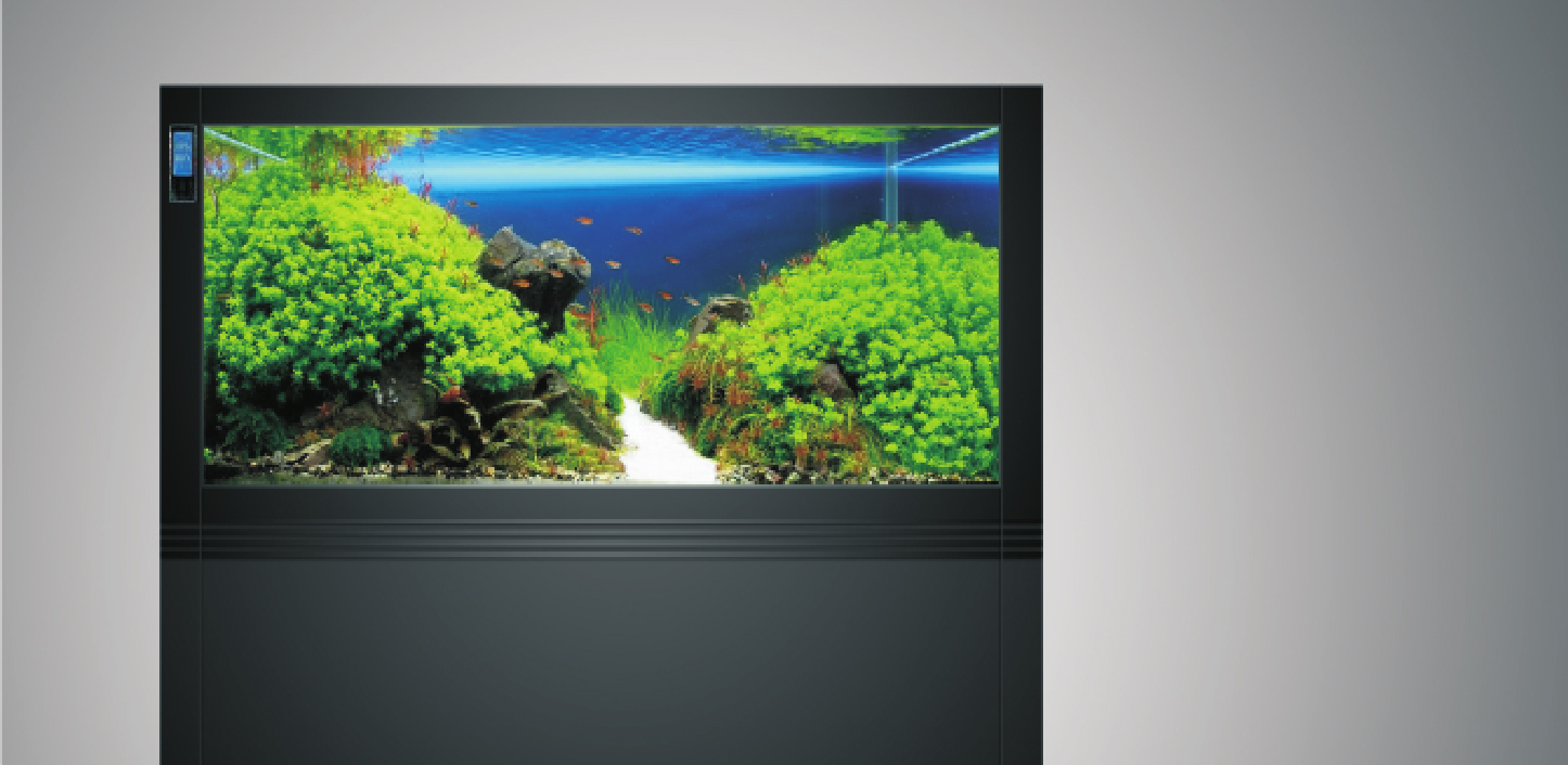 7aa838921e076a48 Aquarium Series